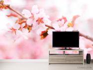 Фотообои Цветущая розовая вишня - 2