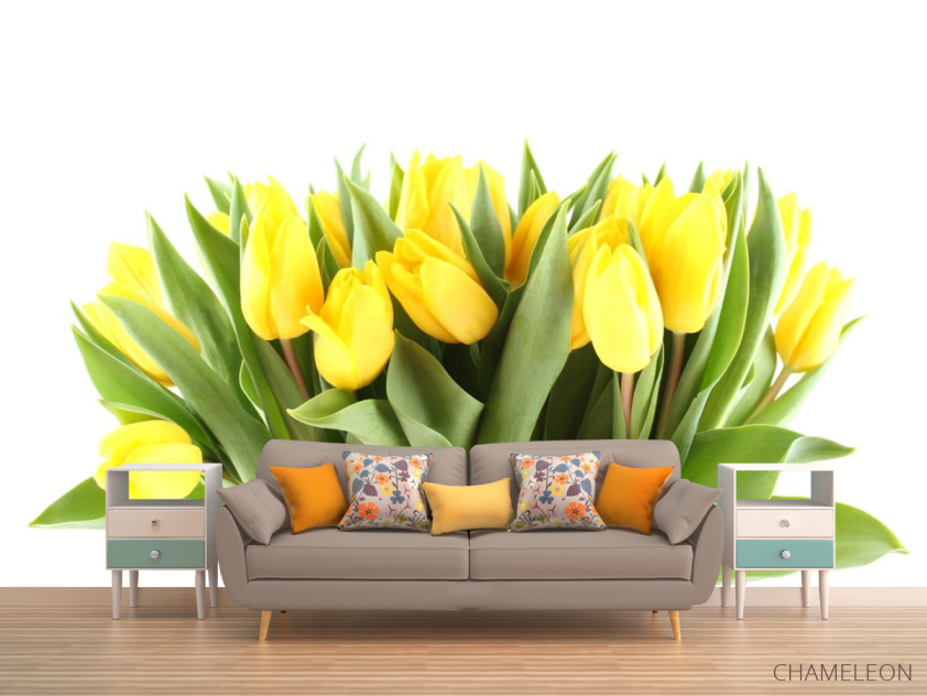 Фотообои желтые тюльпаны - 1