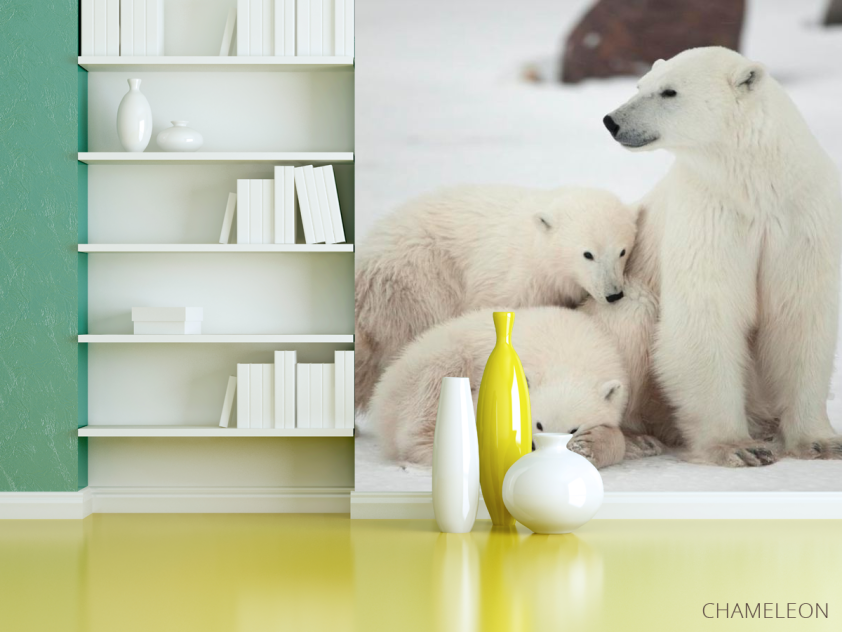 Фотошпалери Сім'я білих ведмедів - 3