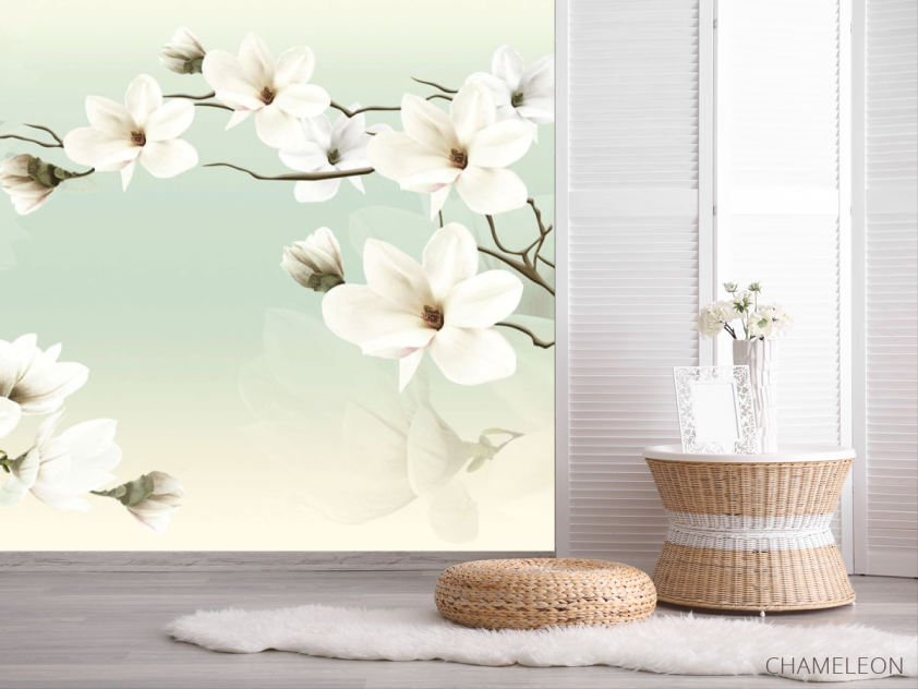 Фотошпалери Магнолії на зеленому фоні - 2