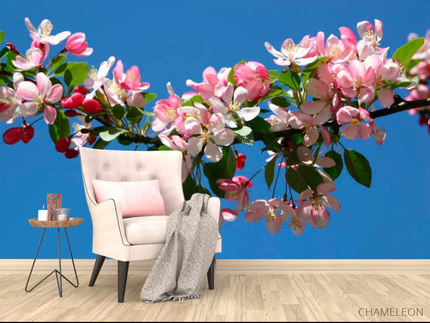 Фотообои Черешня цветущая - 4