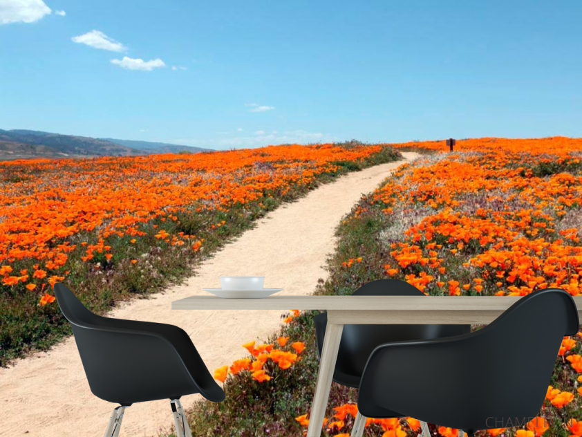 Фотошпалери Стежка, мак - 1