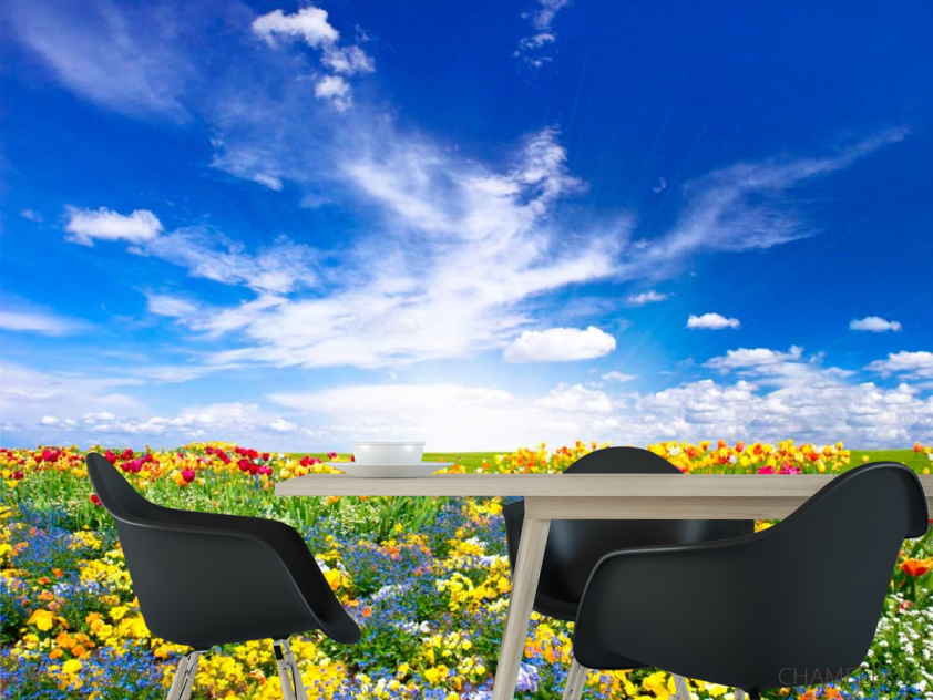 Фотообои Разнотравье - 1