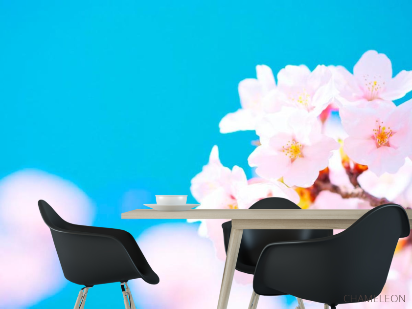 Фотошпалери Білі квіти в небі - 1