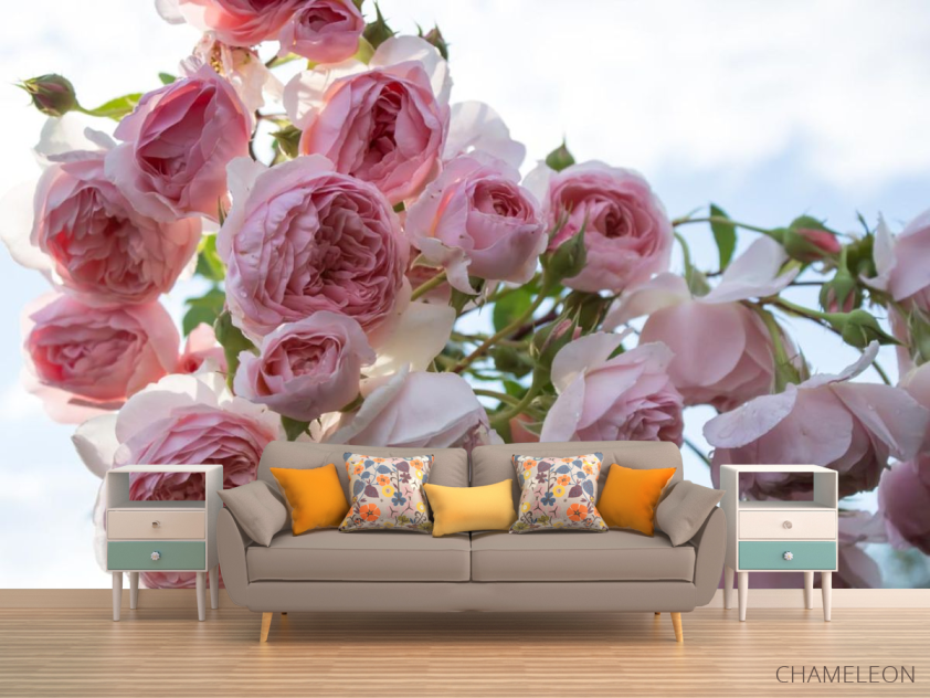 Фотообои крупные розовые бутоны - 1