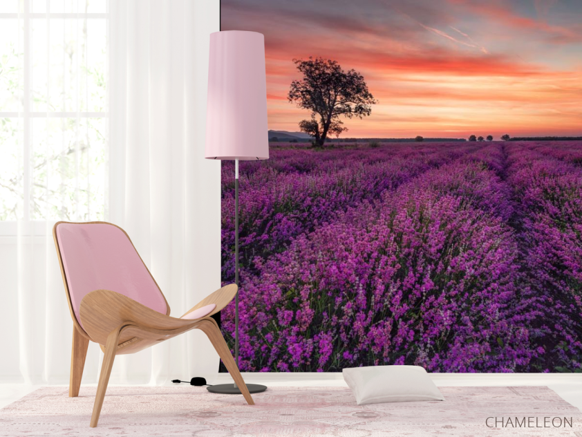 Фотошпалери бузкове поле і рожевий захід - 4