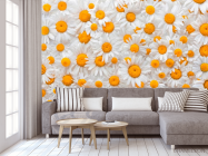 Фотообои Ромашки яркие - 3