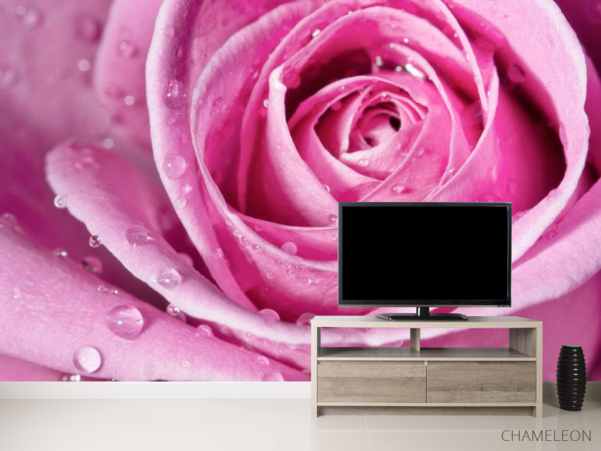 Фотообои Роса на розе - 2