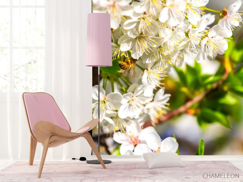 Фотошпалери бджола на квіточках - 4