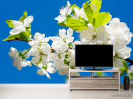 Фотообои Цветы на фоне неба - 2