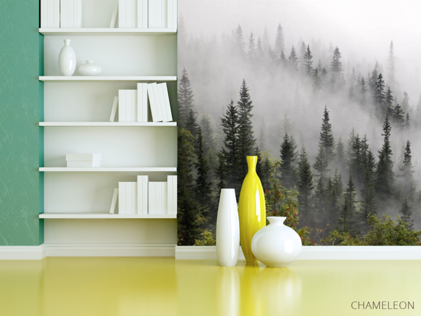 Фотошпалери Туманний ліс - 3