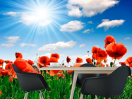 Фотообои Маки под палящим солнцем - 1