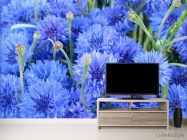 Фотообои Голубые васильки - 2