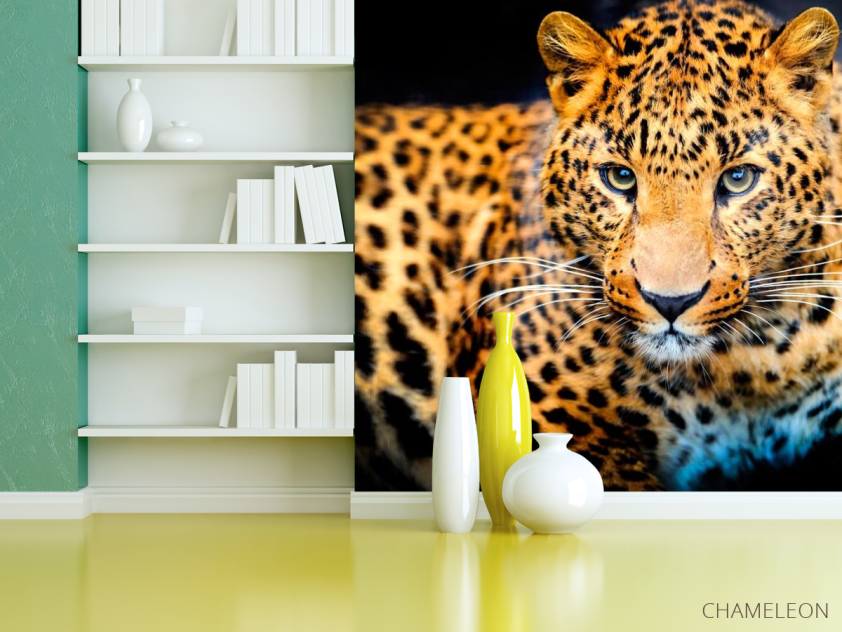 Фотошпалери Гепард на полюванні - 3