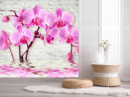 Фотошпалери 3д орхідея - 2