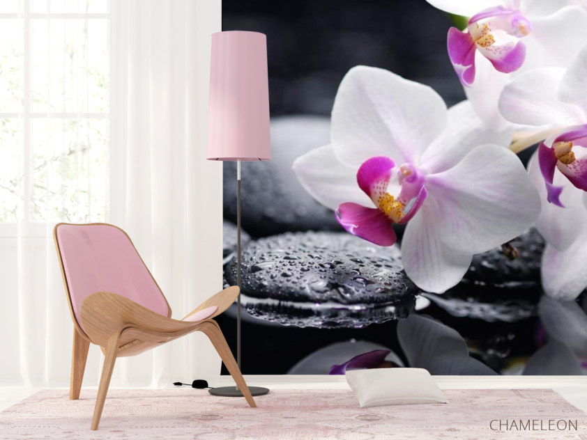 Фотошпалери Білі й чорні орхідеї - 4