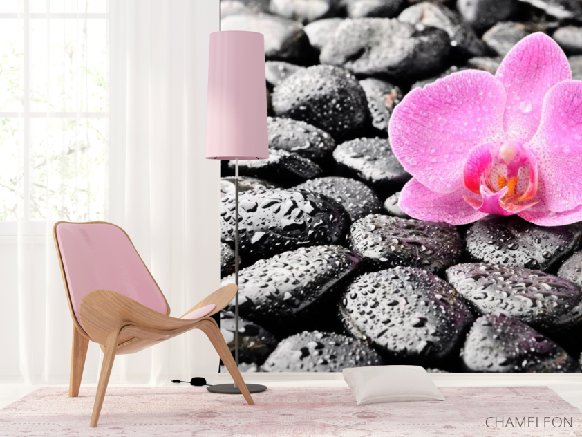 Фотошпалери Орхідея, роса, камені - 4