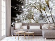 Фотообои белый одуванчик с росой - 3