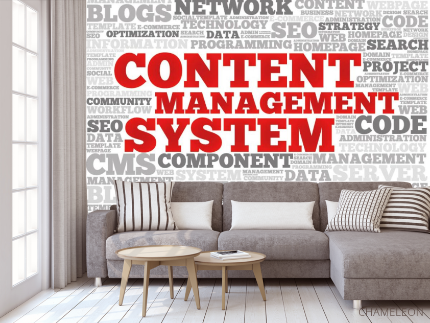 Фотообои Менеджмент - 3