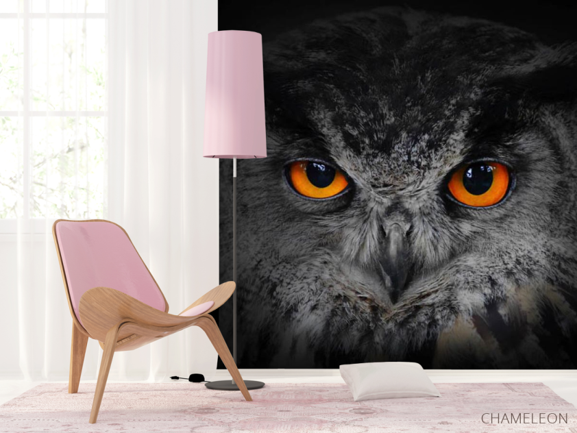 Фотошпалери сова - 4