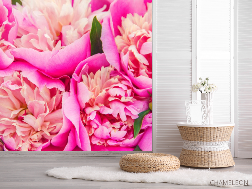 Фотошпалери Яскраво рожеві півонії - 2