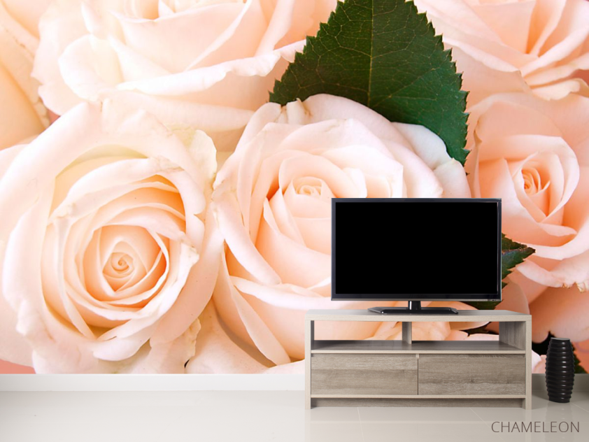 Фотообои Розы - 2