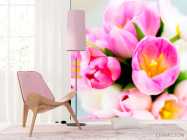 Фотошпалери Тюльпани рожевих тонів - 4