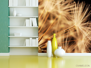 Фотошпалери Макро кульбаби - 3