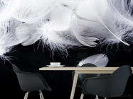 Фотошпалери білі пір'я на чорному тлі - 1
