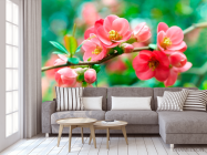 Фотообои Имбирь коралловый - 3