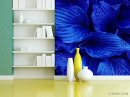 Фотошпалери сині листя - 3