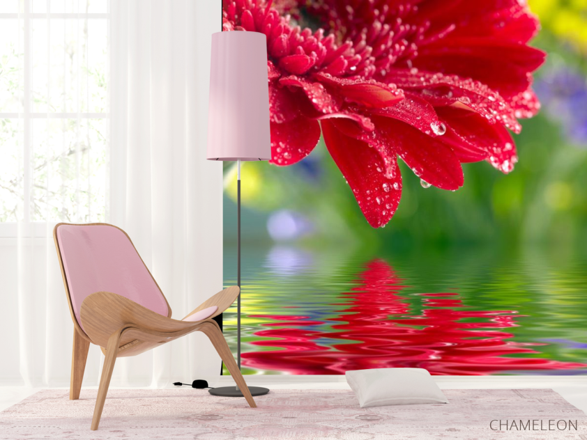Фотошпалери червоний квітка над водою - 4