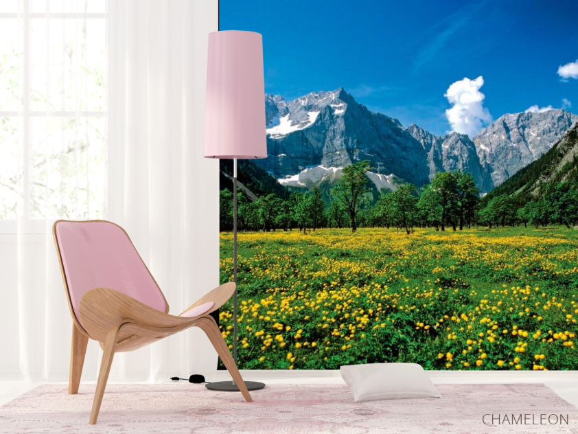 Фотошпалери Квітковий луг гори - 4