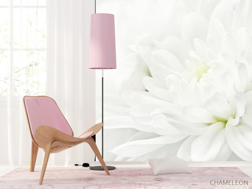 Фотошпалери Білі хризантеми - 4