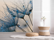 Фотошпалери кульбаби - 2