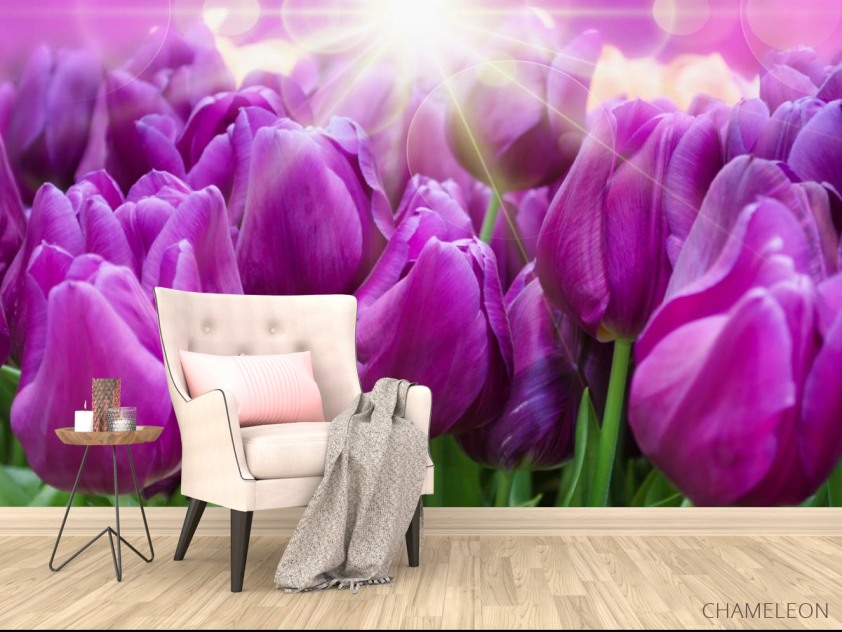 Фотообои фиолетовые тюльпаны - 4