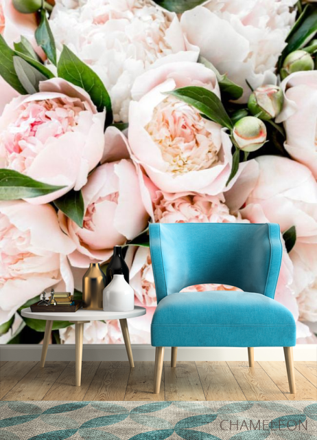 Фотообои Пудровые пионы - 4