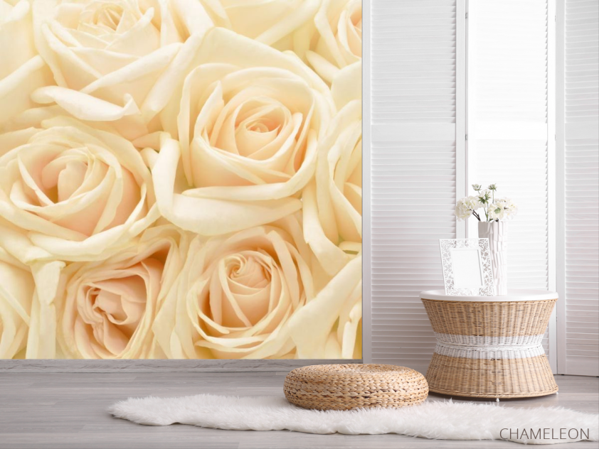 Фотошпалери кремові троянди - 2