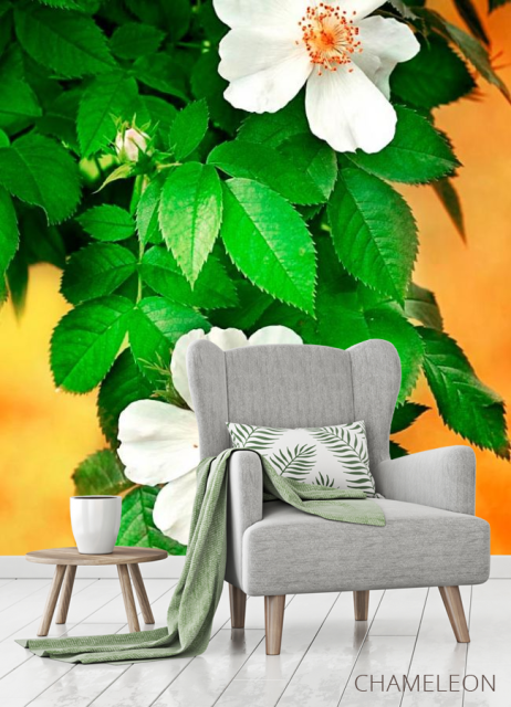 Фотообои Цветущий шиповник - 3