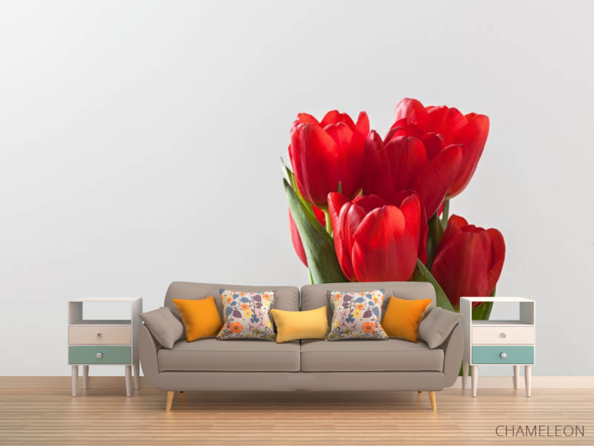 Фотообои красные тюлипаны - 1