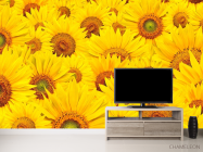 Фотообои Поле из подсолнухов - 2