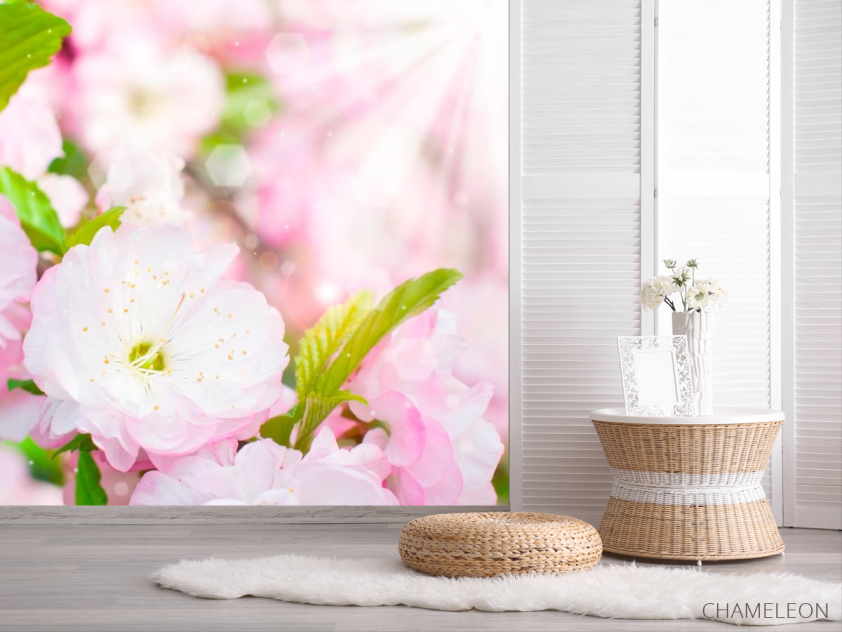 Фотообои Цветки шиповника распустились - 2