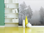 Фотошпалери Туманний ліс - 3