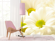 Фотошпалери Великі Ромашки - 4