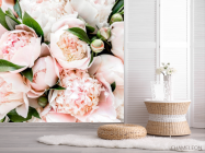 Фотошпалери Пудрові півонії - 2