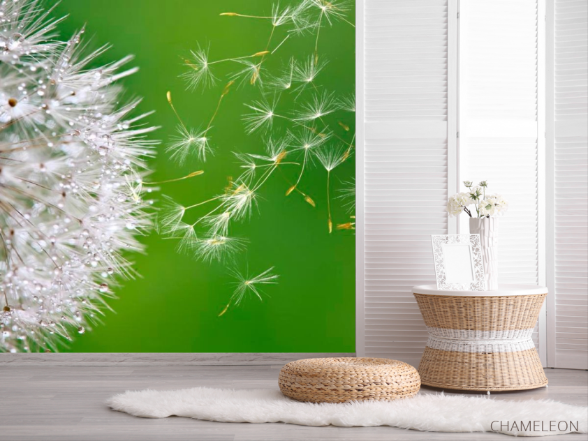 Фотошпалери Кульбаба летить - 2