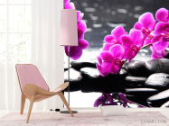 Фотошпалери Рожеві квіти та каміння - 4