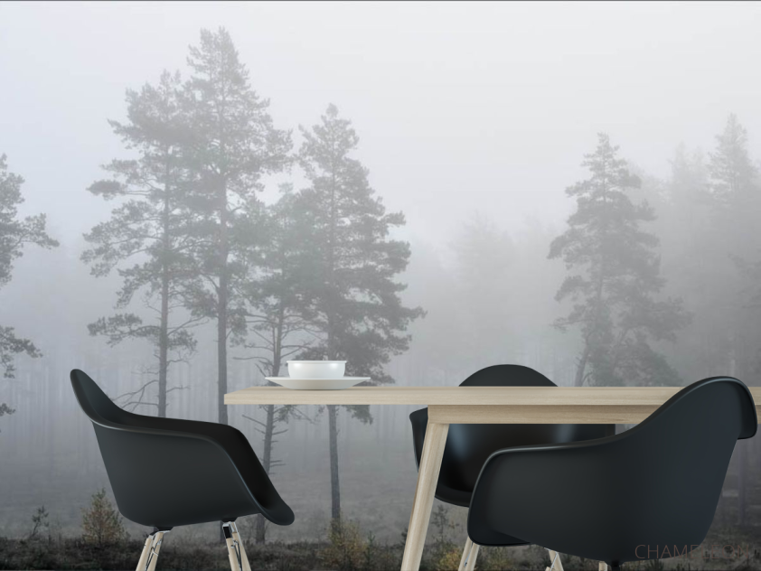 Фотошпалери Туманний ліс - 1