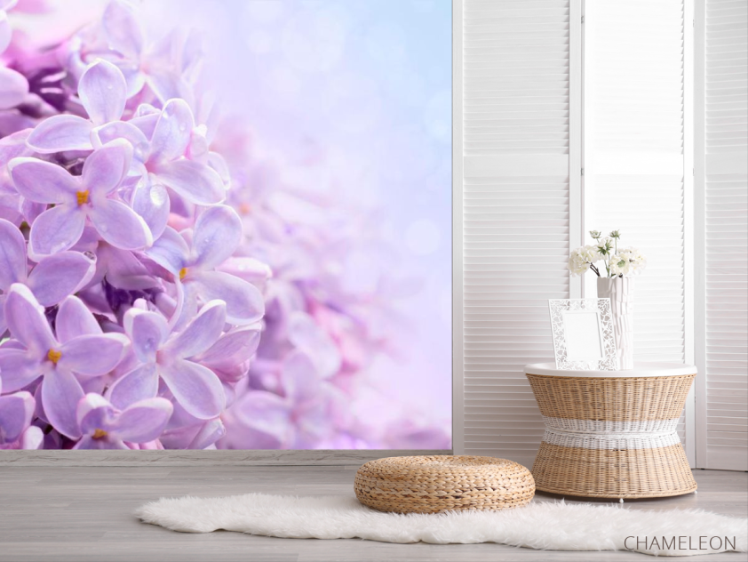 Фотошпалери Квіти бузку - 2