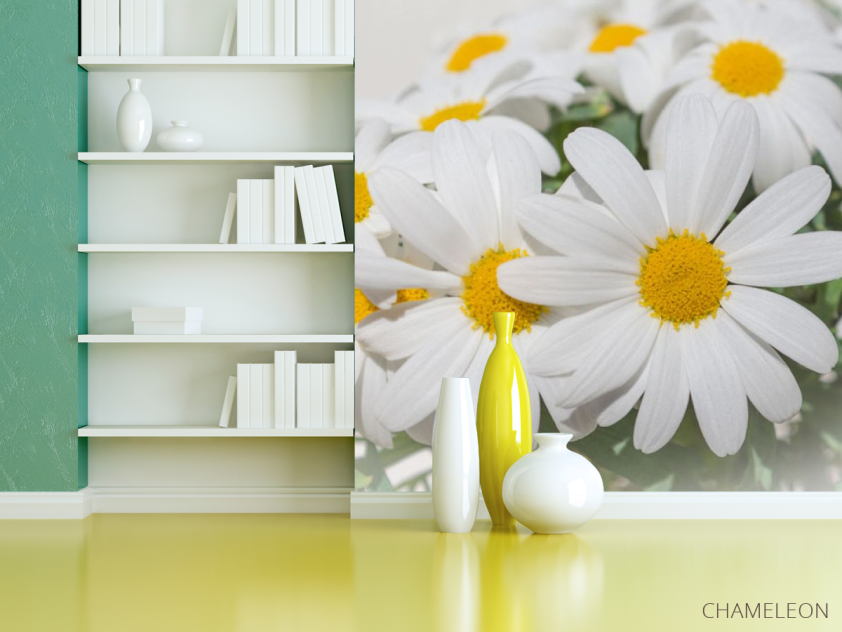 Фотошпалери Білі ромашки - 3